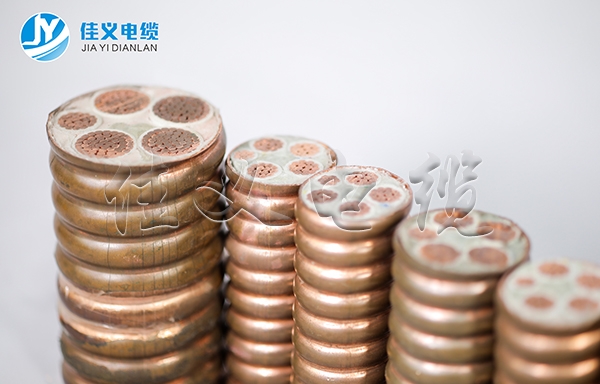 东北香蕉视频入口 东北香蕉视频入口