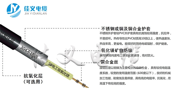 东北香蕉视频入口